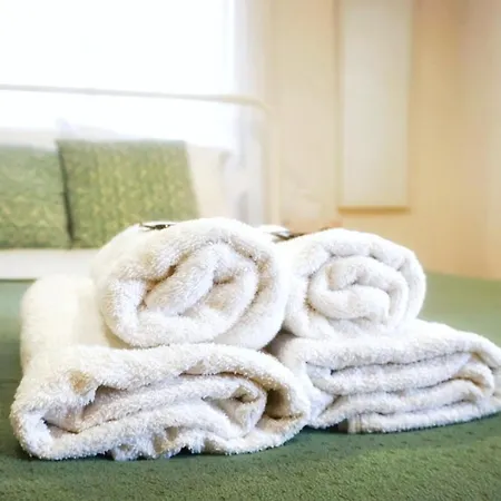 Guest house Forrester Downtown House *