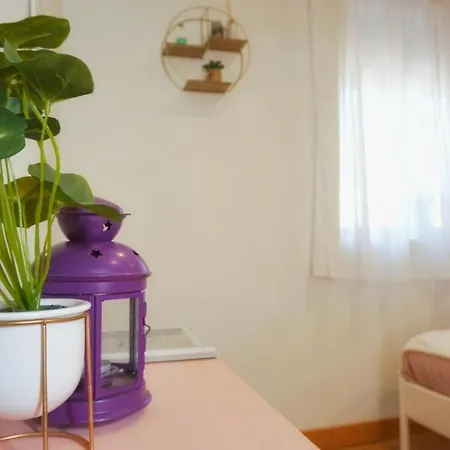 Guest house Forrester Downtown House *
